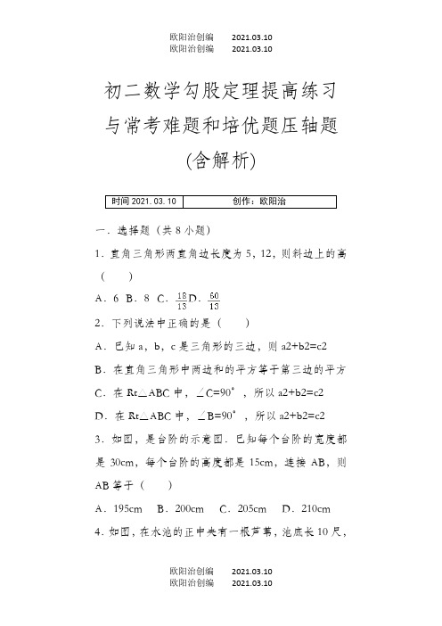 初二数学勾股定理提高练习与常考难题和培优题压轴题(含解析) 之欧阳治创编