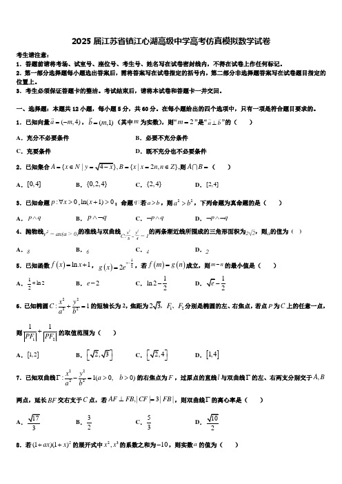 2025届江苏省镇江心湖高级中学高考仿真模拟数学试卷含解析