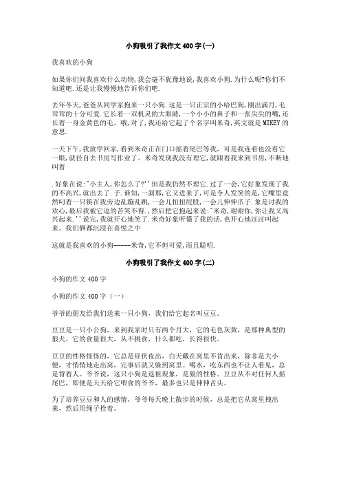 小狗吸引了我作文400字