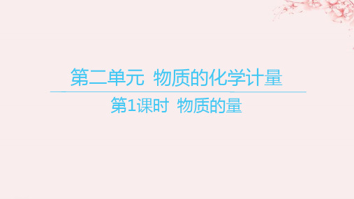 江苏专用2023_2024学年新教材高中化学专题1物质的分类及计量第二单元 第1课时物质的量