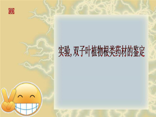 实验,双子叶植物根类药材的鉴定