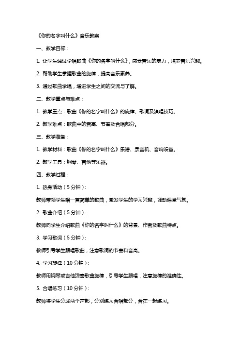 《你的名字叫什么》音乐教案