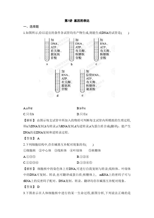 2.2.3 基因的表达