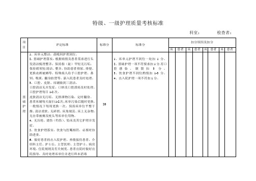 特级、一级护理质量考核标准