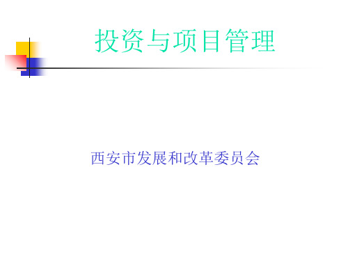 投资与项目管理课件(PPT 46张)