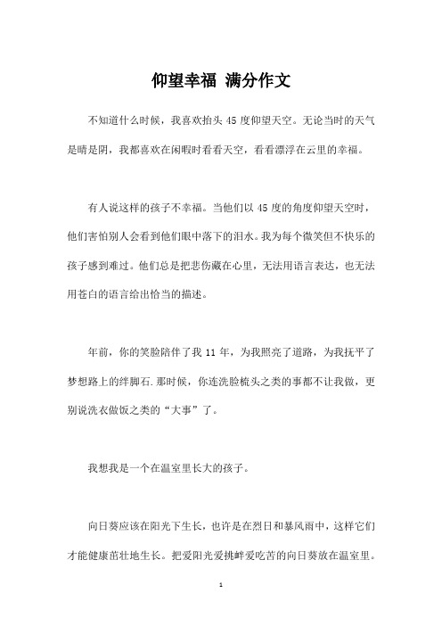仰望幸福 满分作文