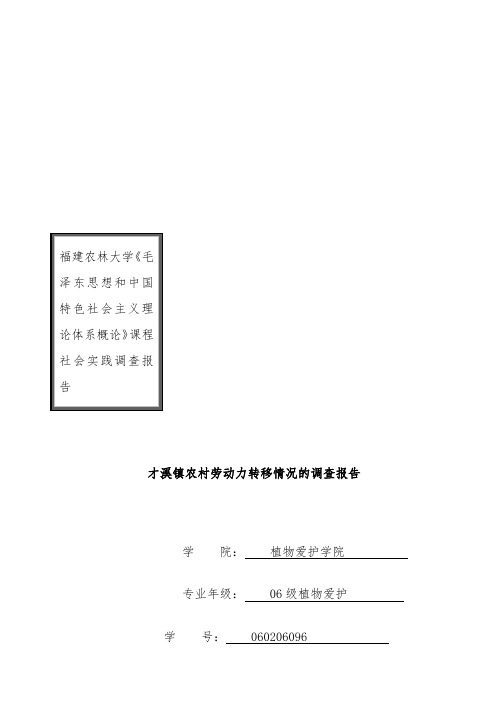 关于才溪镇农村劳动力转移情况的调查报告