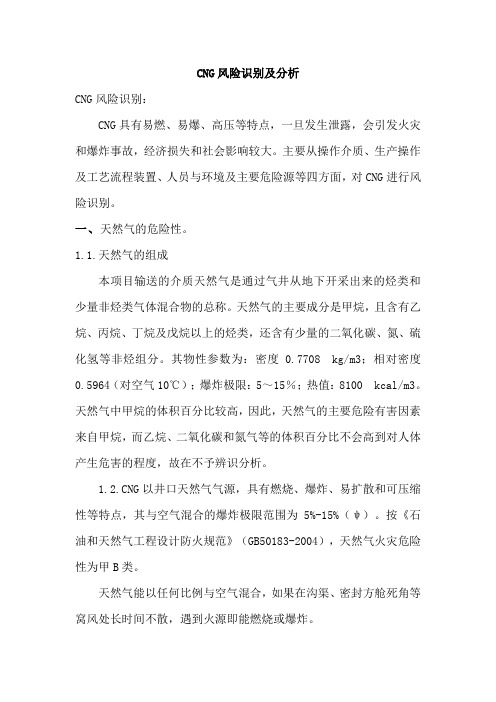 CNG风险识别及分析