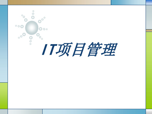 IT项目管理教材(PPT46页).ppt