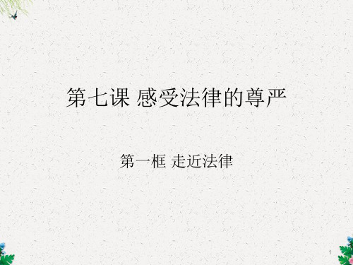 初一政治课件 感受法律的尊严(2)