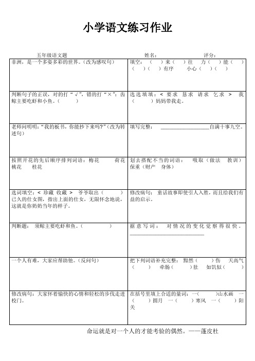 罗阳小学五年级语文期末复习练习作业119