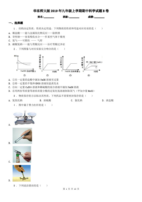 华东师大版2019年九年级上学期期中科学试题B卷(练习)