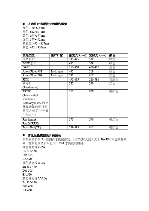 显微镜荧光波长详解