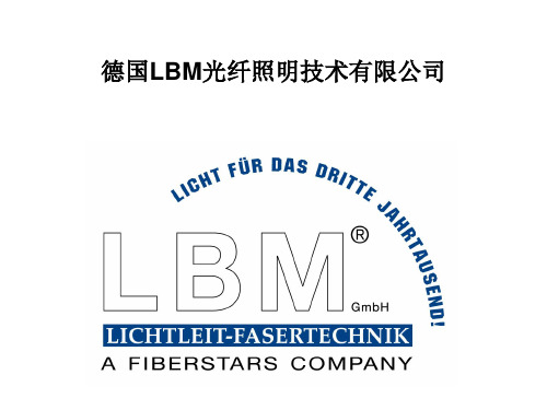 德国LBM光纤照明技术有限公司