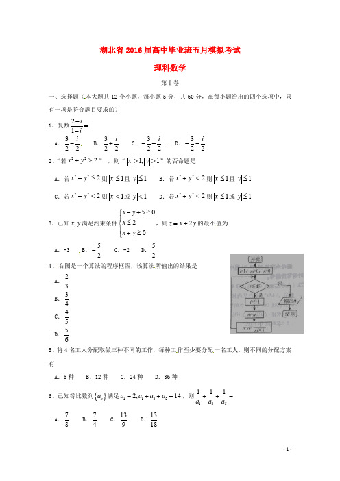 湖北省高三数学5月模拟考试试题理