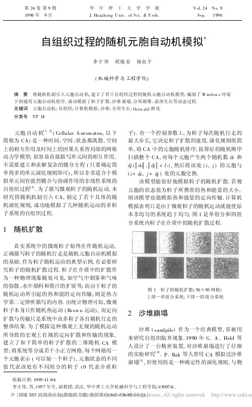 自组织过程的随机元胞自动机模拟