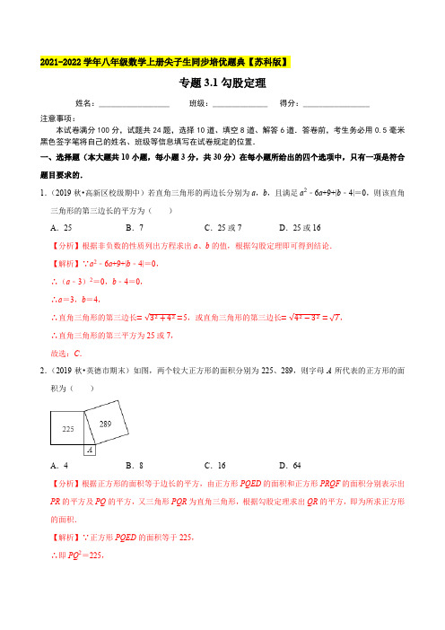 专题31勾股定理-2021-2022学年八年级数学上(解析版)【苏科版】