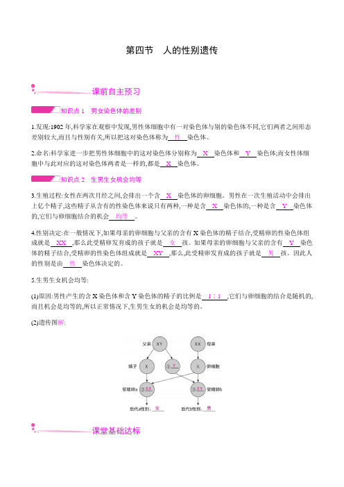 7.2.4   人的性别遗传 课时作业 2020-2021学年人教版八年级下册生物(知识点+练习)