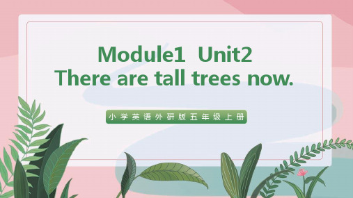 小学英语外研版五年级上册《Module1 Unit2 There are tall trees no