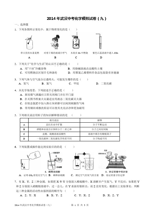 2014年武汉中考化学模拟试卷(九)