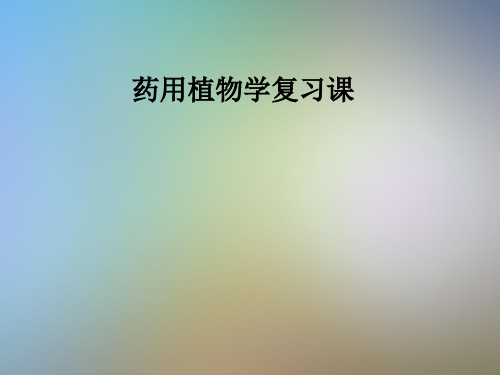 药用植物学复习课