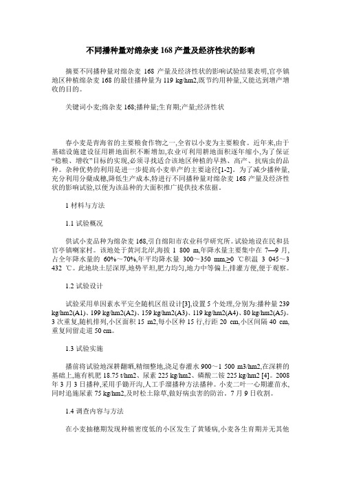 不同播种量对绵杂麦168产量及经济性状的影响