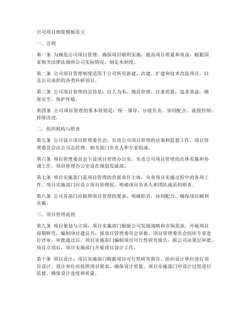 公司项目制度模板范文