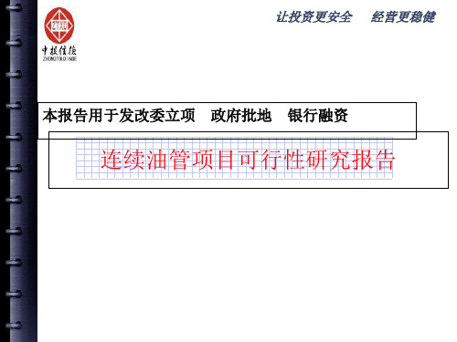 连续油管项目可行性研究报告