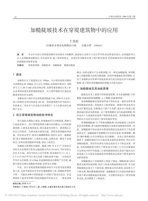 加糙陡坡技术在穿堤建筑物中的应用