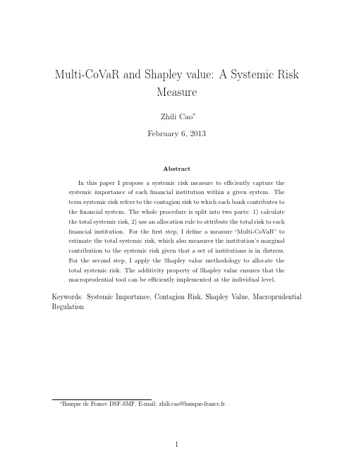 Multi-CoVaR and Shapley valueA Systemic Risk2013