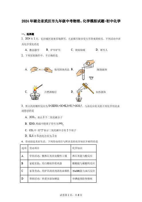 2024年湖北省武汉市九年级中考物理、化学模拟试题-初中化学