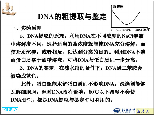 DNA的粗提取与鉴定51672