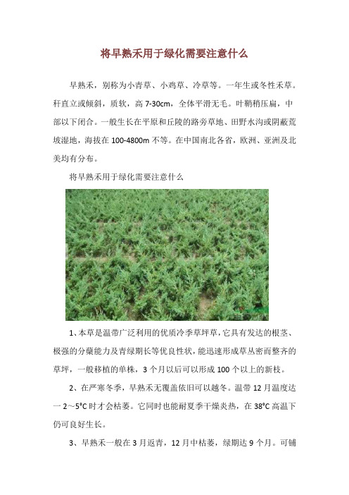 将早熟禾用于绿化需要注意什么