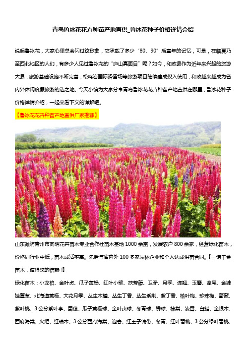 青岛鲁冰花花卉种苗产地直供_鲁冰花种子价格详情介绍