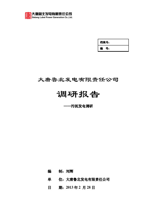 大唐鲁北发电有限公司污泥发电调研报告