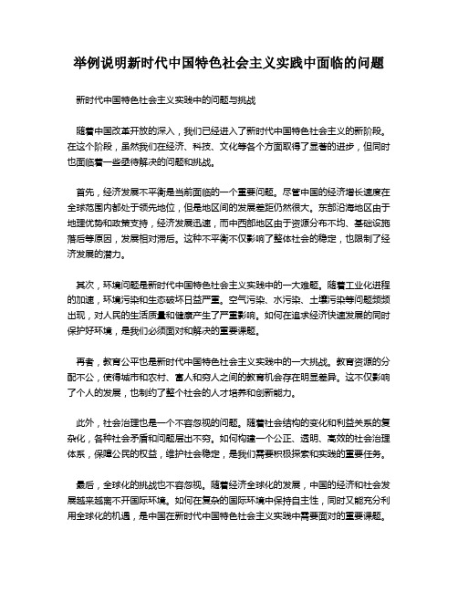 举例说明新时代中国特色社会主义实践中面临的问题