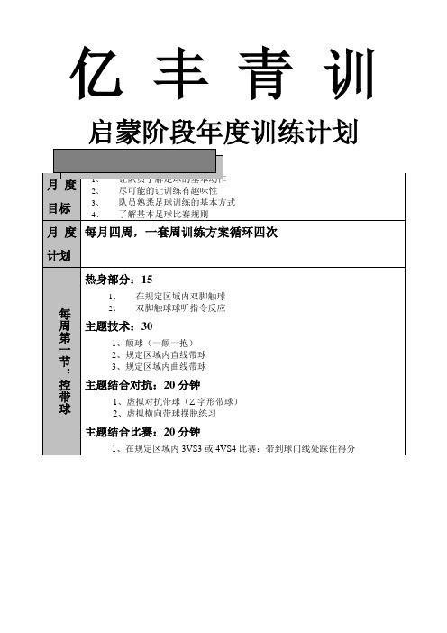 青少年足球训练 启蒙阶段年度训练计划 教案 