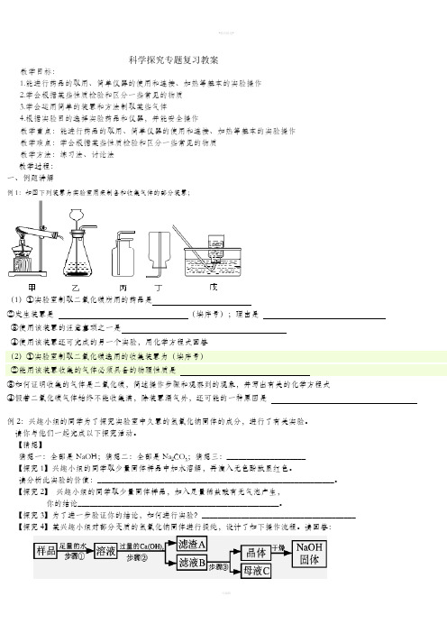 初中化学实验探究专题复习教案