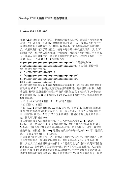 Overlap PCR(重叠PCR)的基本原理