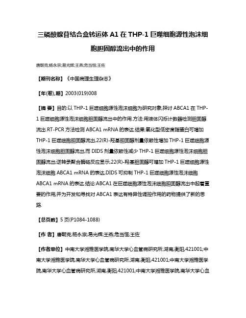 三磷酸腺苷结合盒转运体A1在THP-1巨噬细胞源性泡沫细胞胆固醇流出中的作用