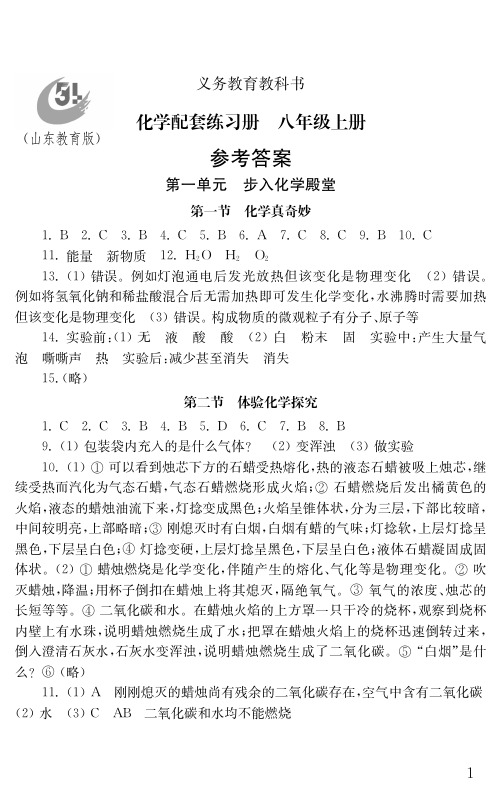 八上化学配套练习答案