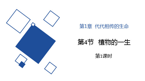 浙教版七年级下册科学《植物的一生》说课教学课件学习