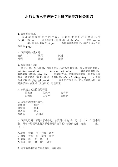 北师大版六年级语文上册字词专项过关训练