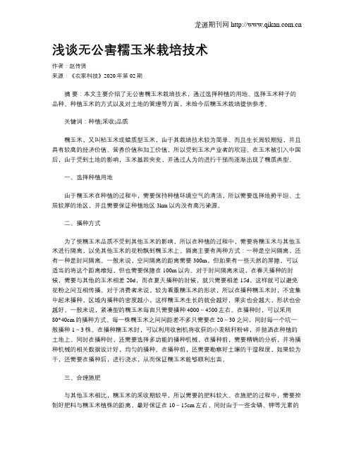 浅谈无公害糯玉米栽培技术