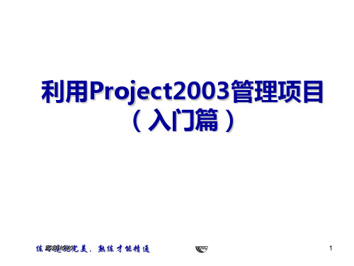 利用Project2003管理项目