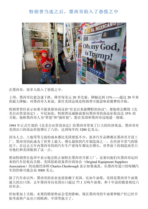 特朗普当选之后,墨西哥陷入了恐慌之中