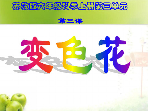 小学科学六年级上册《变色花》PPT课件