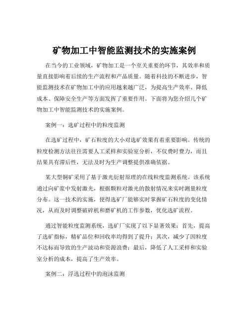 矿物加工中智能监测技术的实施案例