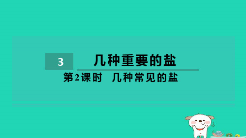 2024九年级化学下册第7章应用广泛的酸碱盐第3节几种重要的盐第2课时几种常见的盐习题课件沪教版