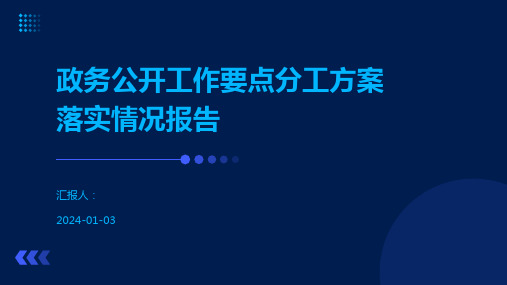 政务公开工作要点分工方案落实情况报告